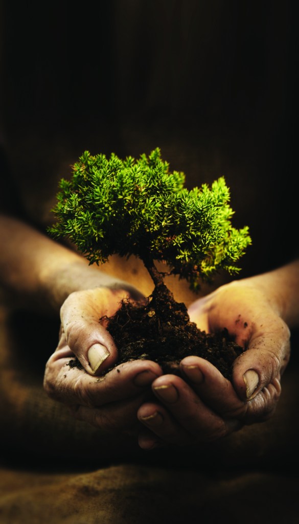 iStock_000003102856Medium