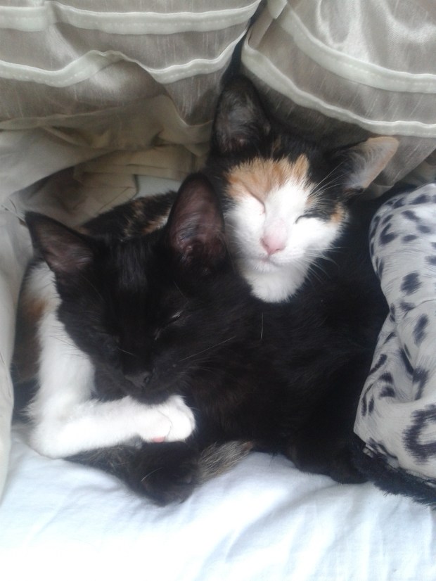 Bobby and Meika_Jennifer Lynne