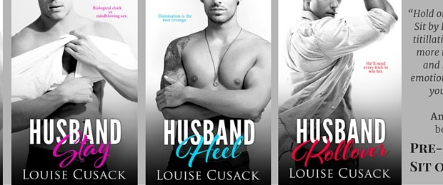 HusbandSeriesAmyQuote